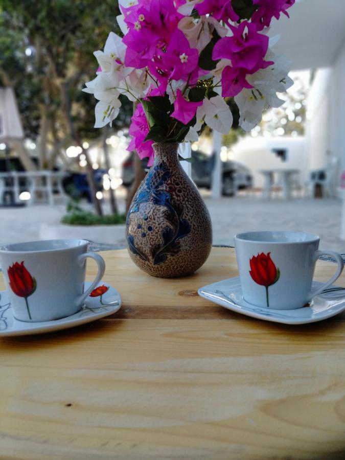 Henchir Ejdoud * Kairouan
